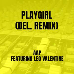 Playgirl (Del. Remix)