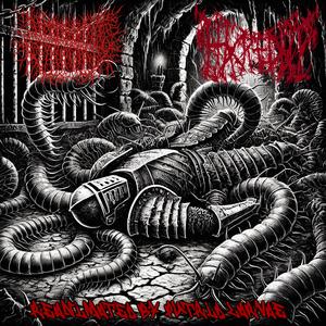 Abdominal Maggot Infestation (feat. Cerebral Enema & Purulence)