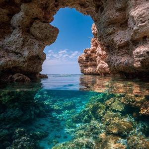 Coral na Praia
