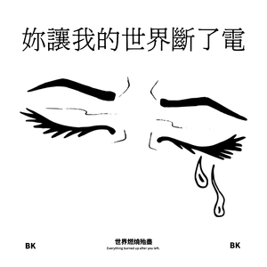 妳让我的世界断了电