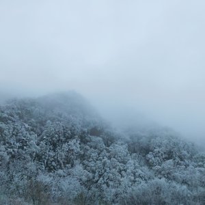 恶作剧1..(1)_1