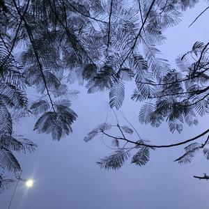 曙光(Prod by Vikingar)