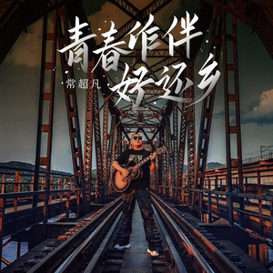 青春作伴好还乡 (DJ阿本版伴奏)