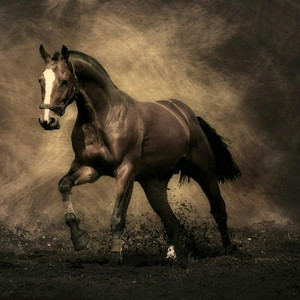 “Skins的心事”少有的鼓点配民族乐器，在伴奏上肆意游动 国风bap beat