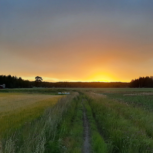 Kotikylä