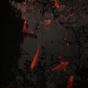 晚枫歌（女生版）