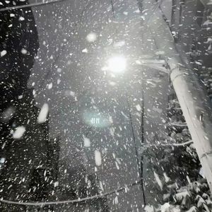 雪落满无人见证的肩