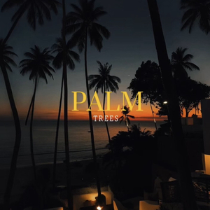 Palm Trees