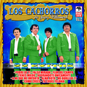 La tecolota