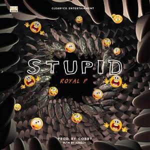 S T U P I D