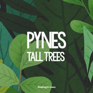 Tall Trees