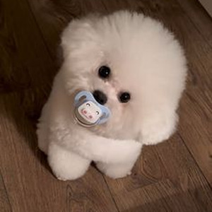 All The Way Through (slowed)