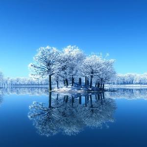 不能黄金分割个