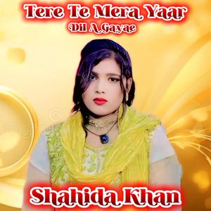 Tere Te Mera Yaar Dil A Gayae