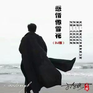 感情像雪花 (DJ版)