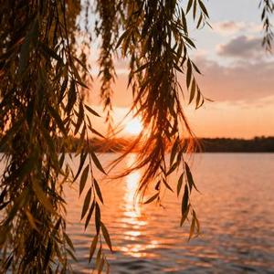 爱的开头总是满心欢喜