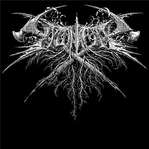 Azn's from Orange County