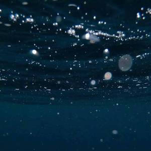 海里（翻自 李美灵芝）