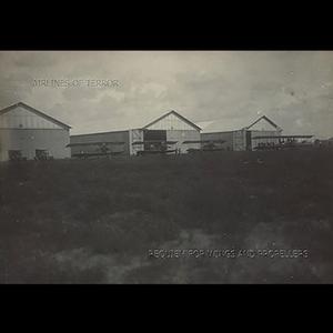 Leonardo's Aerial Screw