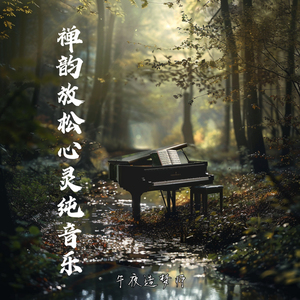 空灵禅音 大自然的声音 冥想纯音乐