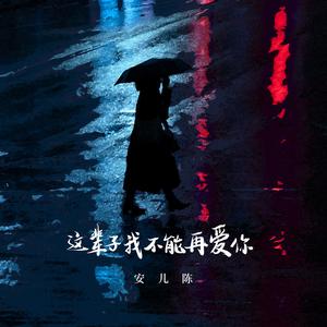 这辈子我不能再爱你