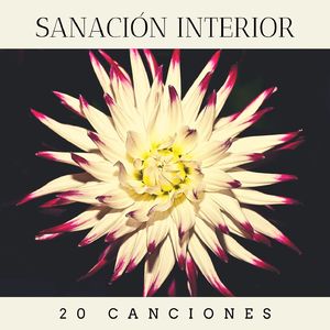 Practicar la Meditación