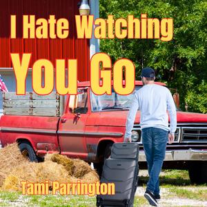 I Hate Watching You Go