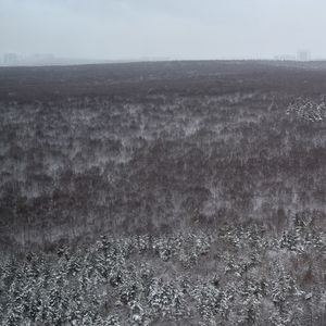 Пепел страдания