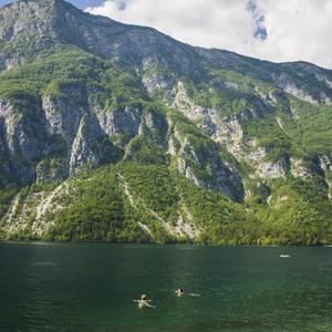 每年分红的沟通好