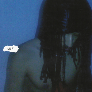 Skorpion (Cam’ron Channeln)