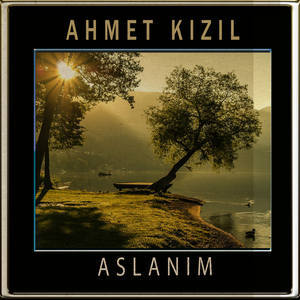 Aslanım