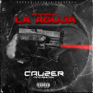 Se Despeja la Aguja