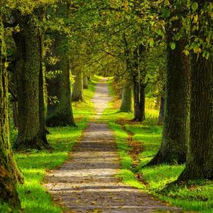 高萨尔_4u的AI创作-电子10