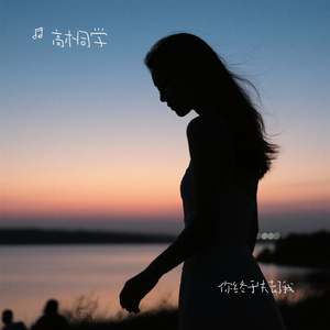 你终于失去了我