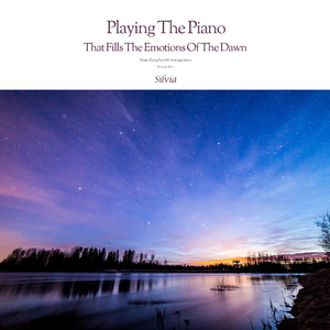 새벽 감성을 채우는 피아노 연주 Playing The Piano That Fills The Emotions Of The Dawn