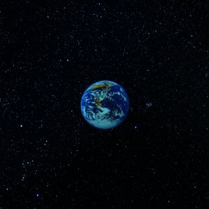 冰冷热带鱼Ending Theme