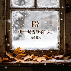 盼（盼一场雪与你白头）