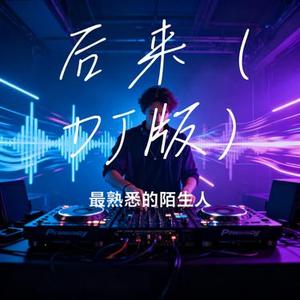 后来 (DJ版) (Cover 刘若英)