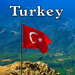 Turkey: Group of Men Trading Stocks in a Back Alley