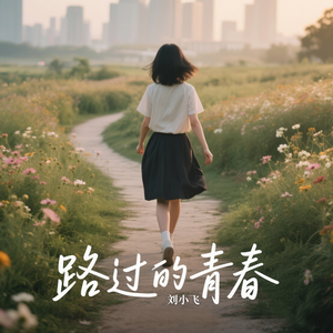 路过的青春