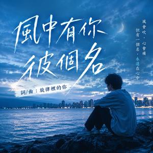 風中有你彼個名