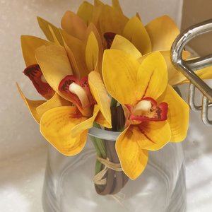 半枝春在时光褶皱里生根.wav