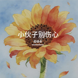 小伙子别伤心