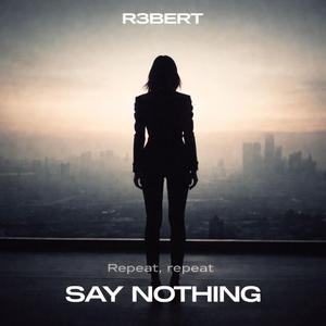 Say Nothing