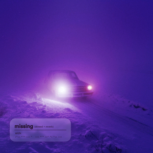 missing (slowed + reverb)