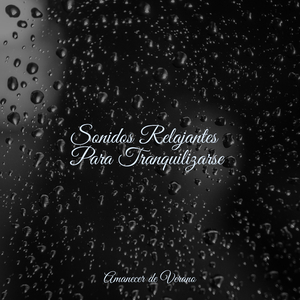 Abrazo Silencioso y Placentero