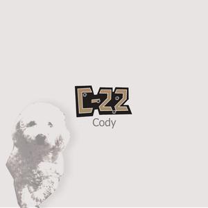 Cody