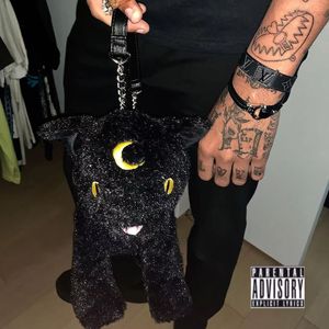 舔狗日记 Prod.by RoyalBoyBrazy