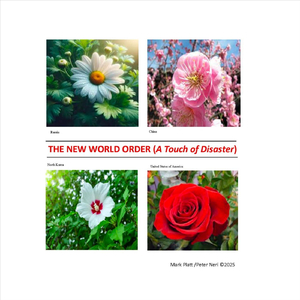 The New World Order (A Touch of Disaster) [Live]