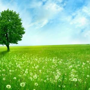 亲爱的你呀再跳个舞吧